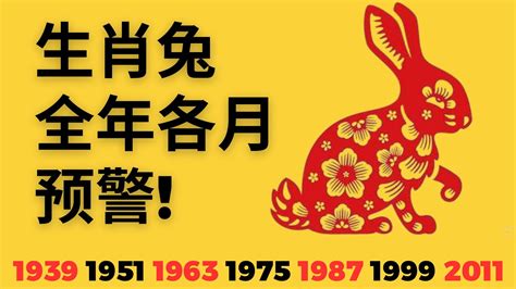 今年兔年|屬兔今年幾歲｜屬兔民國年次、兔年西元年